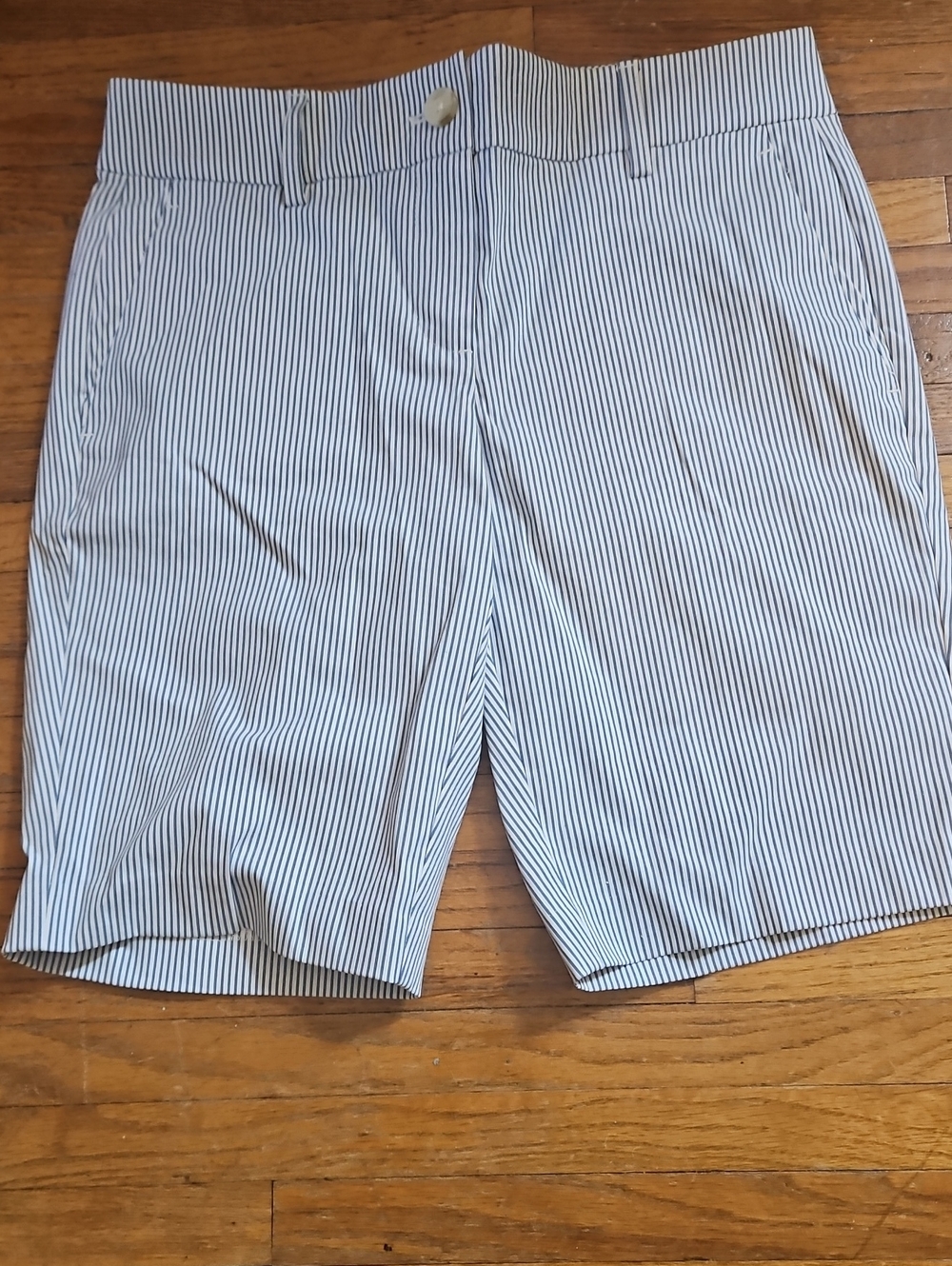 Ann Taylor Womens Blue & White Pinstripe Flat-Front Shorts